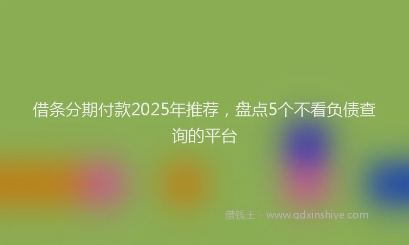 借条分期付款2025年推荐，盘点5个不看负债查询的平台