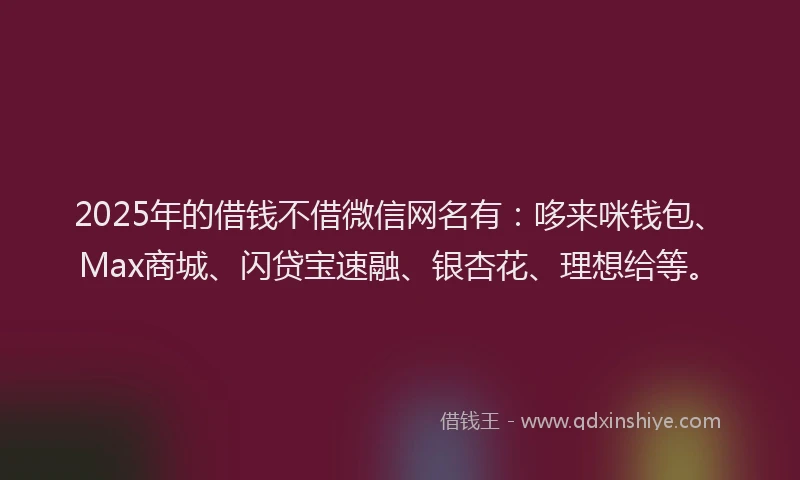 2025年的借钱不借微信网名有：哆来咪钱包、Max商城、闪贷宝速融、银杏花、理想给等。