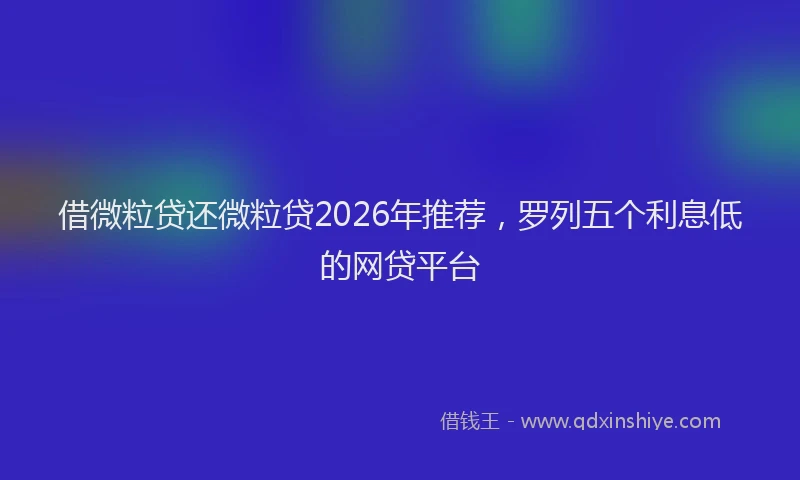 借微粒贷还微粒贷2026年推荐，罗列五个利息低的网贷平台