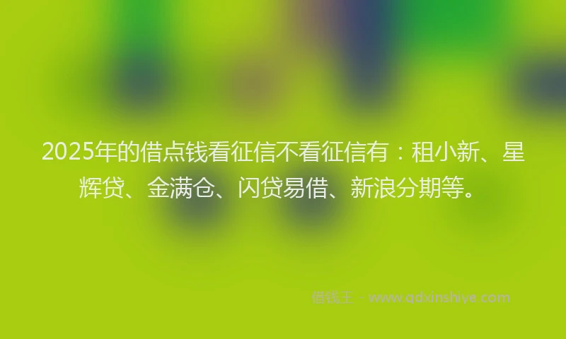 2025年的借点钱看征信不看征信有：租小新、星辉贷、金满仓、闪贷易借、新浪分期等。