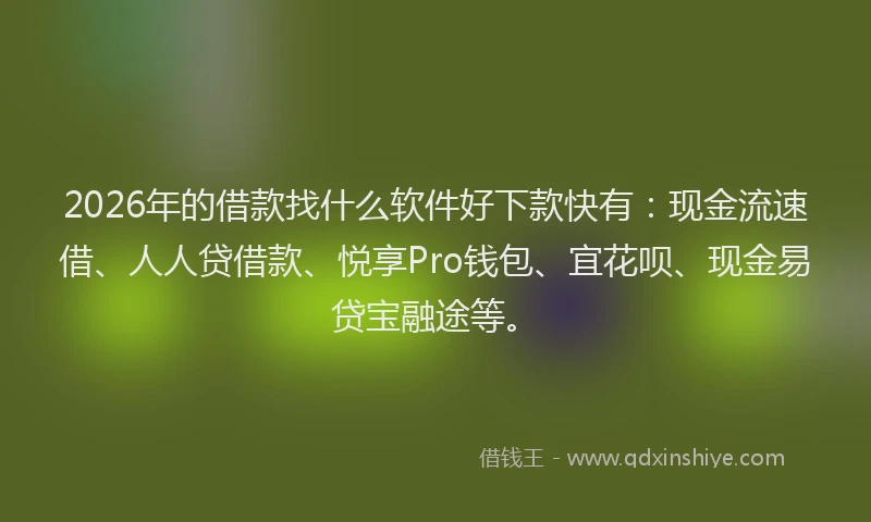 2026年的借款找什么软件好下款快有:现金流速借、人人贷借款、悦享Pro钱包、宜花呗、现金易贷宝融途等。