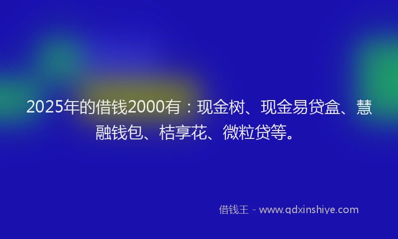 2025年的借钱2000有：现金树、现金易贷盒、慧融钱包、桔享花、微粒贷等。