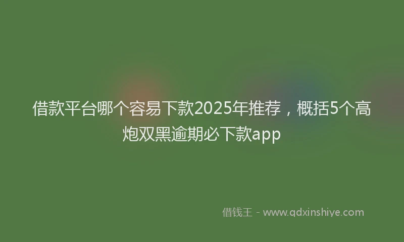 借款平台哪个容易下款2025年推荐，概括5个高炮双黑逾期必下款app