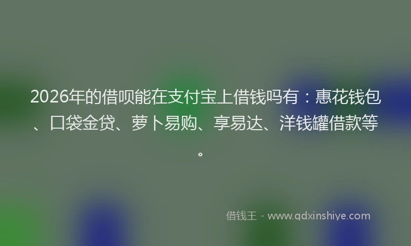 2026年的借呗能在支付宝上借钱吗有:惠花钱包、口袋金贷、萝卜易购、享易达、洋钱罐借款等。