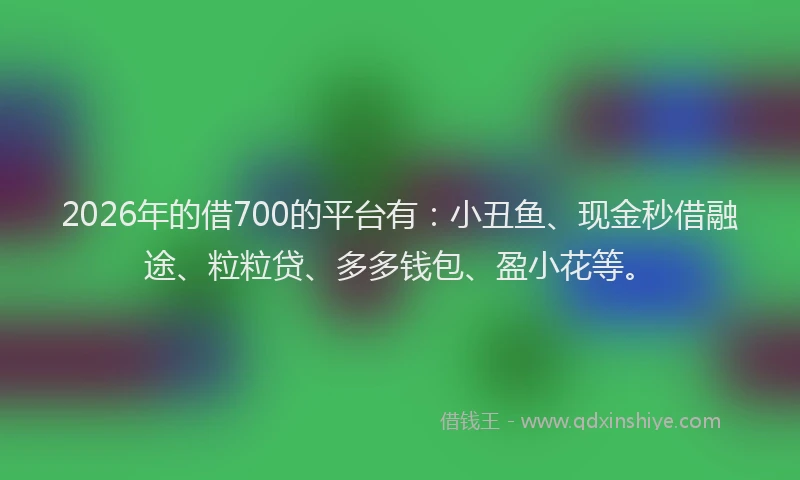 2026年的借700的平台有：小丑鱼、现金秒借融途、粒粒贷、多多钱包、盈小花等。