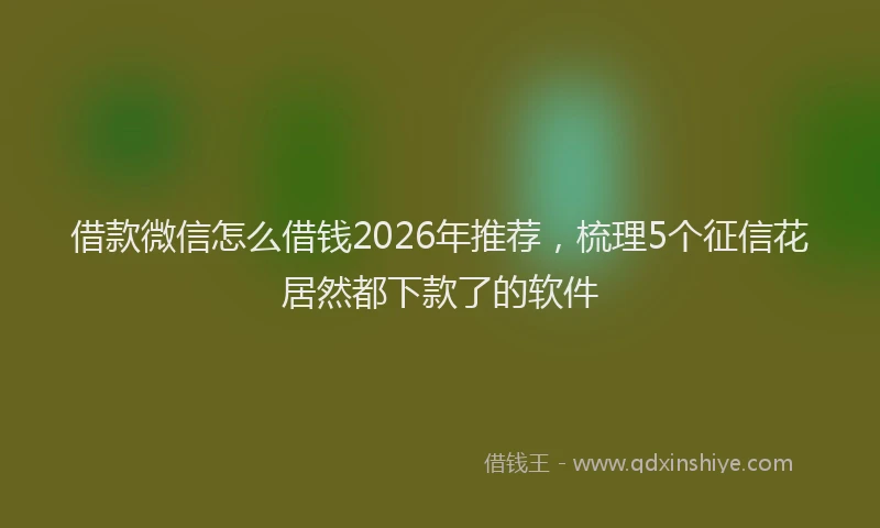 借款微信怎么借钱2026年推荐，梳理5个征信花居然都下款了的软件