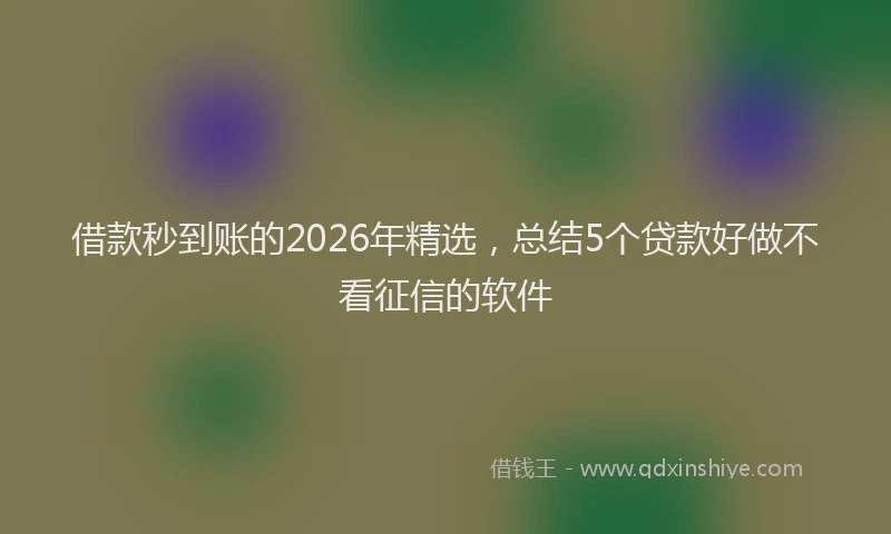 借款秒到账的2026年精选,总结5个贷款好做不看征信的软件