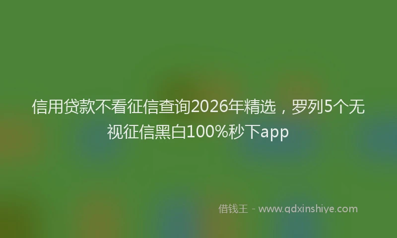 信用贷款不看征信查询2026年精选，罗列5个无视征信黑白100%秒下app