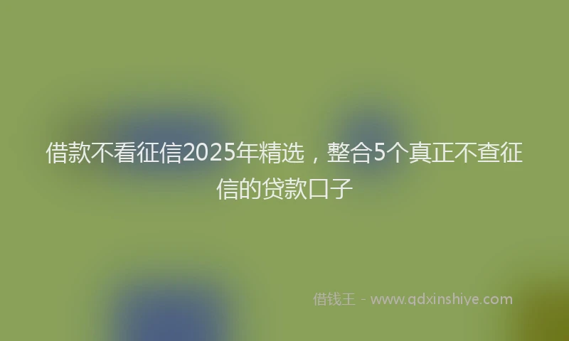 借款不看征信2025年精选,整合5个真正不查征信的贷款口子