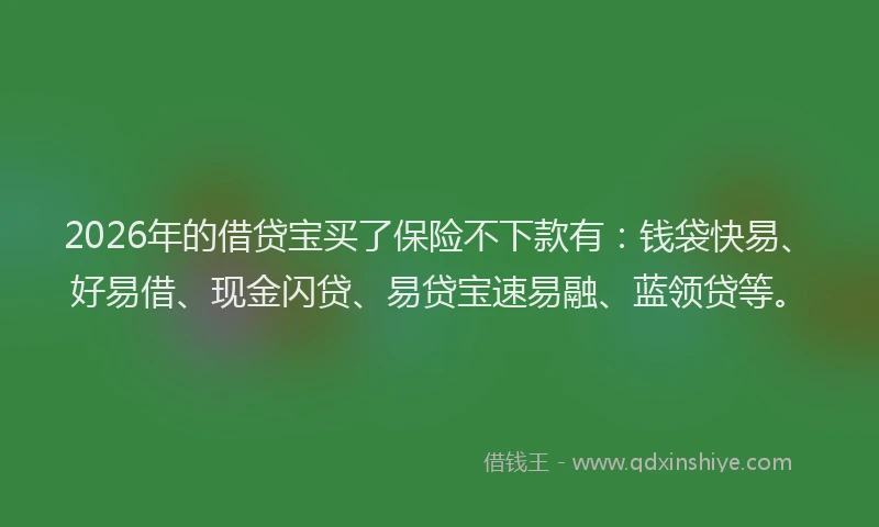 2026年的借贷宝买了保险不下款有：钱袋快易、好易借、现金闪贷、易贷宝速易融、蓝领贷等。