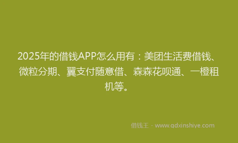 2025年的借钱APP怎么用有：美团生活费借钱、微粒分期、翼支付随意借、森森花呗通、一橙租机等。