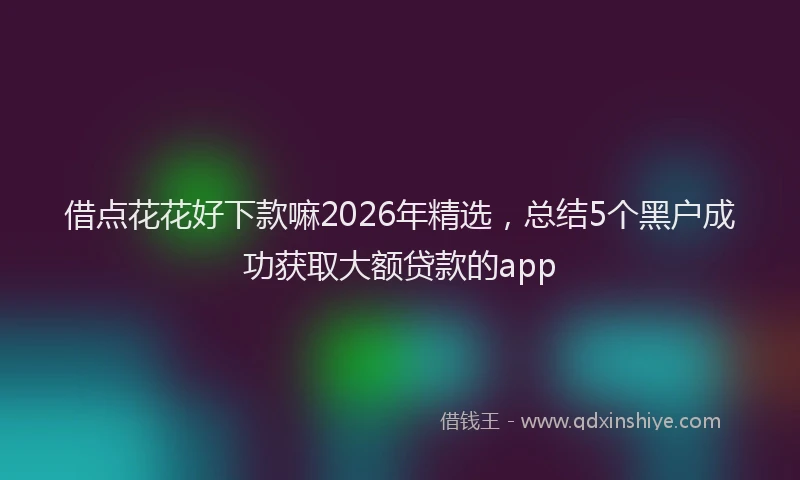 借点花花好下款嘛2026年精选,总结5个黑户成功获取大额贷款的app