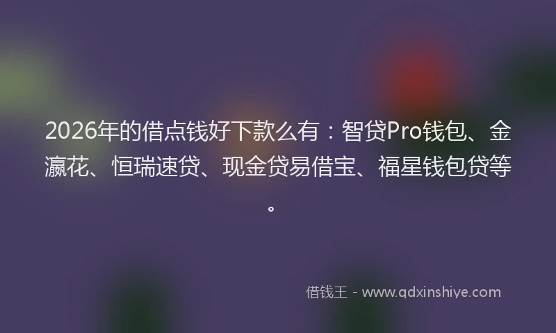 2026年的借点钱好下款么有：智贷Pro钱包、金瀛花、恒瑞速贷、现金贷易借宝、福星钱包贷等。