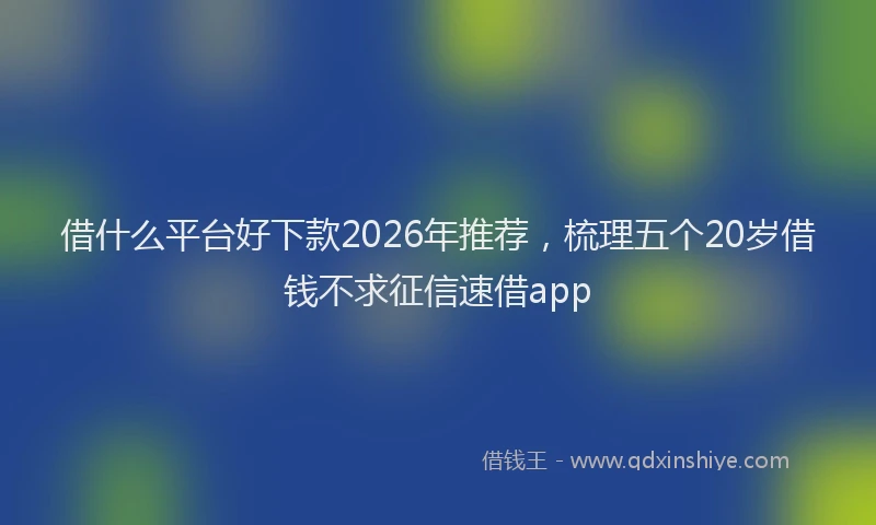 借什么平台好下款2026年推荐,梳理五个20岁借钱不求征信速借app