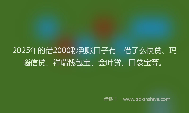 2025年的借2000秒到账口子有：借了么快贷、玛瑙信贷、祥瑞钱包宝、金叶贷、口袋宝等。