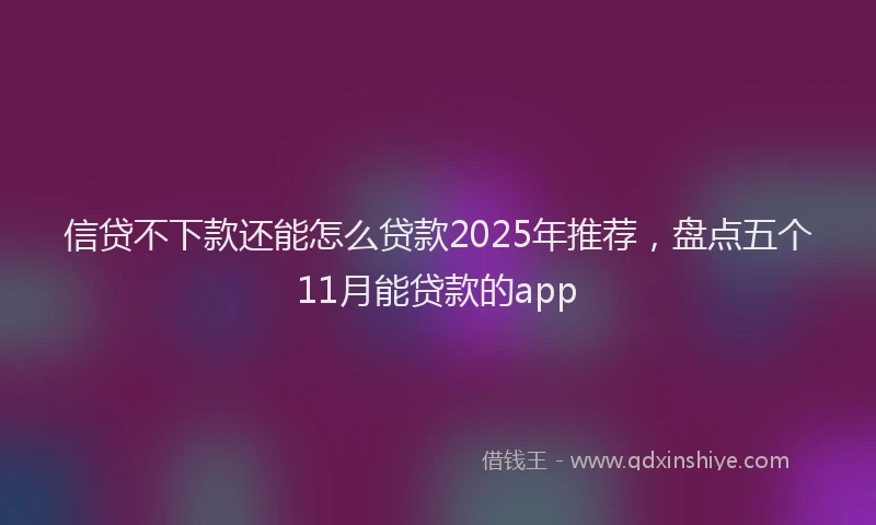 信贷不下款还能怎么贷款2025年推荐，盘点五个11月能贷款的app