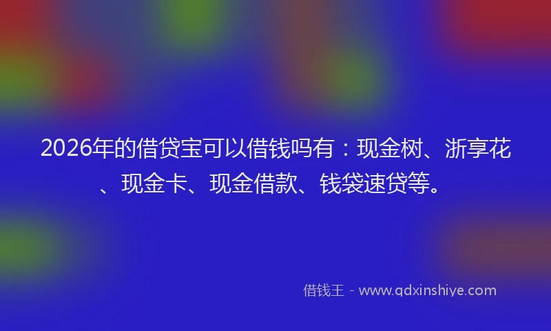 2026年的借贷宝可以借钱吗有:现金树、浙享花、现金卡、现金借款、钱袋速贷等。