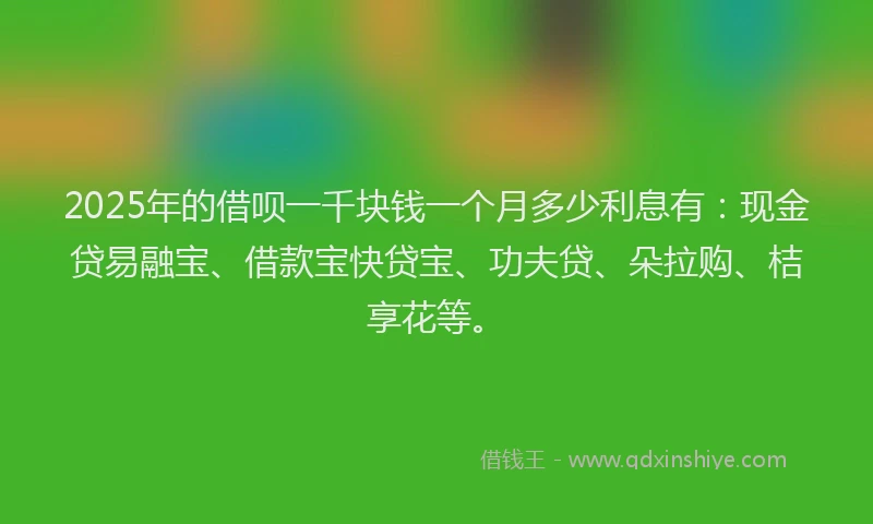 2025年的借呗一千块钱一个月多少利息有:现金贷易融宝、借款宝快贷宝、功夫贷、朵拉购、桔享花等。