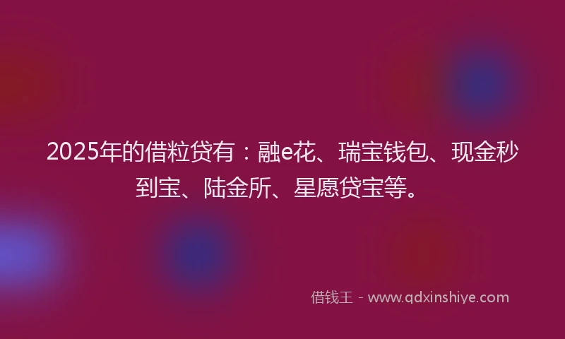 2025年的借粒贷有：融e花、瑞宝钱包、现金秒到宝、陆金所、星愿贷宝等。