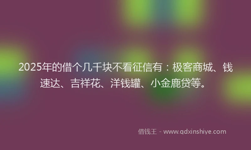 2025年的借个几千块不看征信有：极客商城、钱速达、吉祥花、洋钱罐、小金鹿贷等。