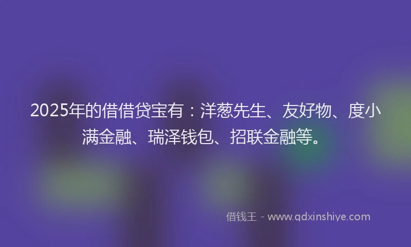 2025年的借借贷宝有：洋葱先生、友好物、度小满金融、瑞泽钱包、招联金融等。