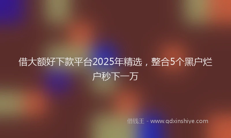 借大额好下款平台2025年精选，整合5个黑户烂户秒下一万
