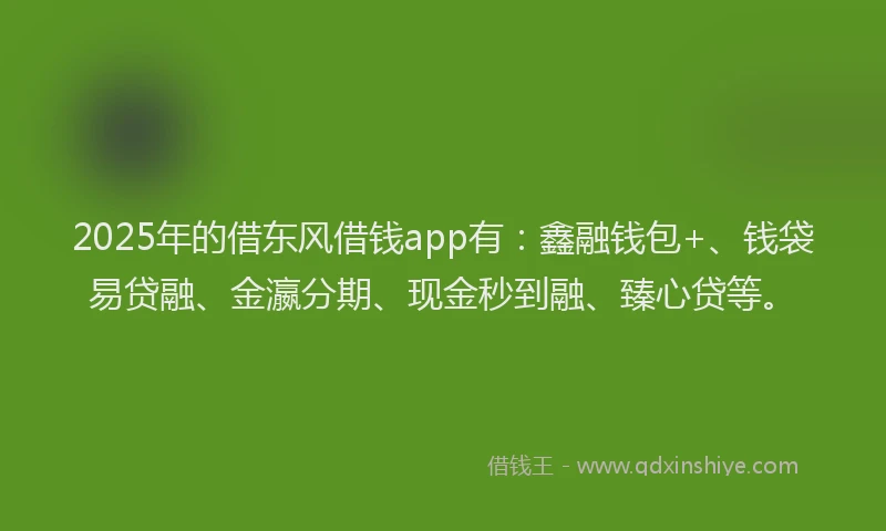 2025年的借东风借钱app有:鑫融钱包+、钱袋易贷融、金瀛分期、现金秒到融、臻心贷等。