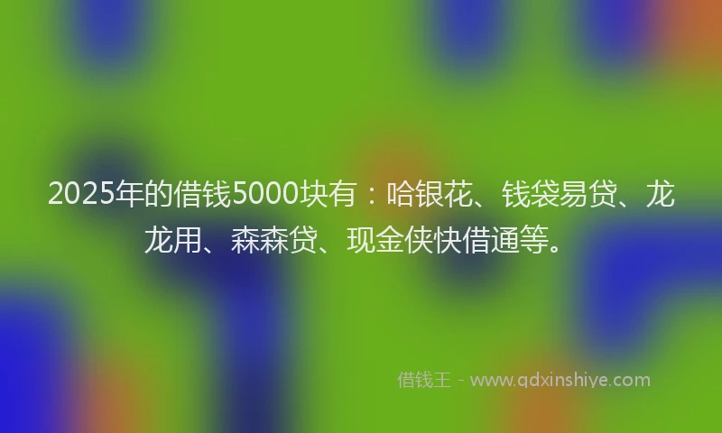2025年的借钱5000块有：哈银花、钱袋易贷、龙龙用、森森贷、现金侠快借通等。