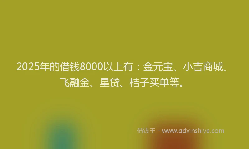 2025年的借钱8000以上有：金元宝、小吉商城、飞融金、星贷、桔子买单等。