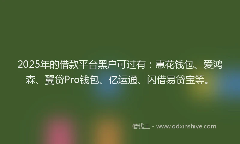 2025年的借款平台黑户可过有：惠花钱包、爱鸿森、翼贷Pro钱包、亿运通、闪借易贷宝等。