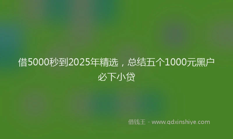 借5000秒到2025年精选,总结五个1000元黑户必下小贷
