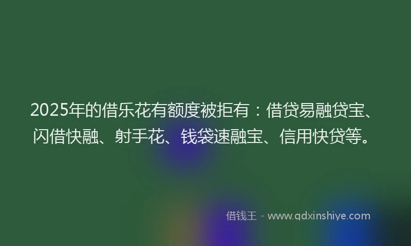 2025年的借乐花有额度被拒有:借贷易融贷宝、闪借快融、射手花、钱袋速融宝、信用快贷等。