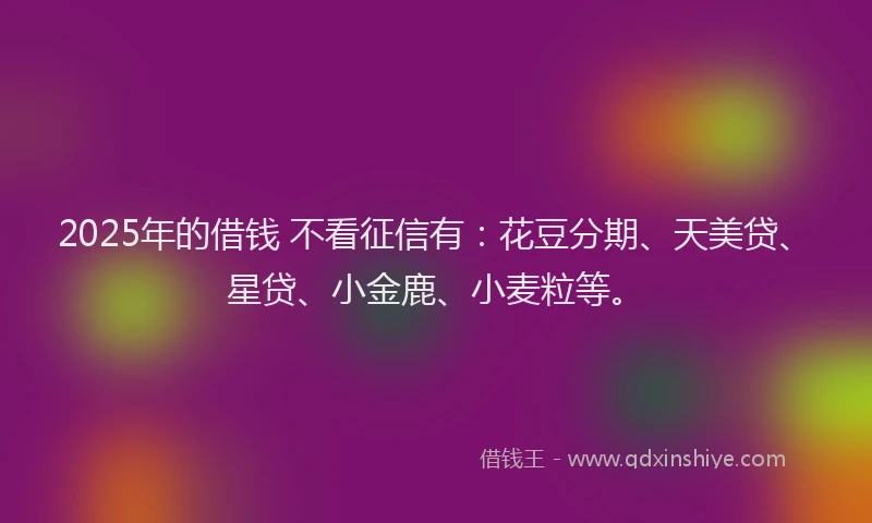 2025年的借钱 不看征信有：花豆分期、天美贷、星贷、小金鹿、小麦粒等。