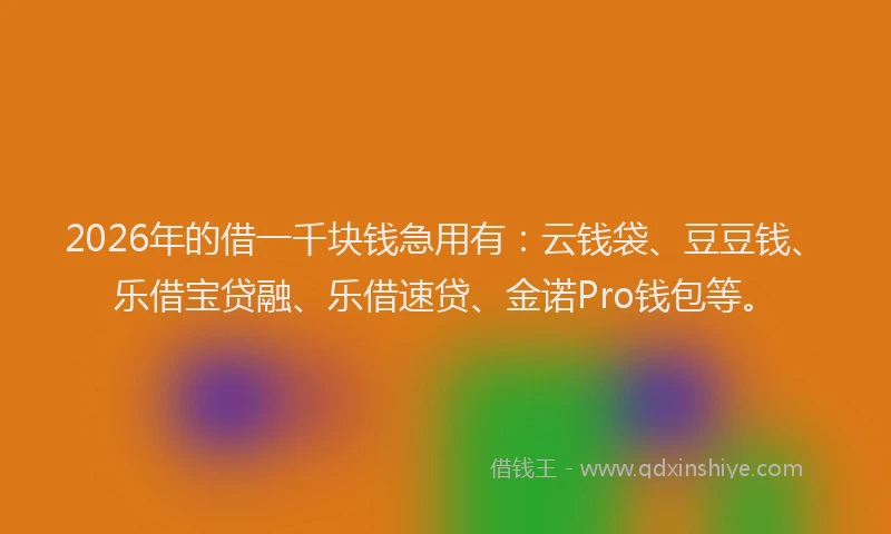 2026年的借一千块钱急用有:云钱袋、豆豆钱、乐借宝贷融、乐借速贷、金诺Pro钱包等。