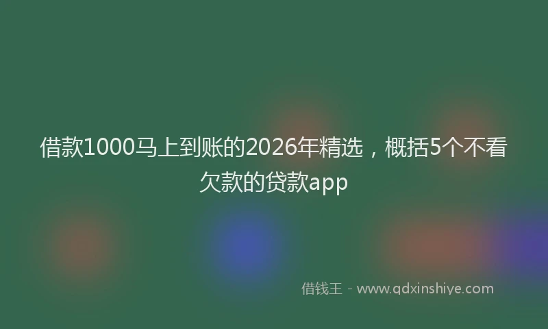 借款1000马上到账的2026年精选,概括5个不看欠款的贷款app