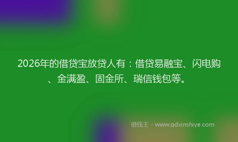 2026年的借贷宝放贷人有：借贷易融宝、闪电购、金满盈、固金所、瑞信钱包等。