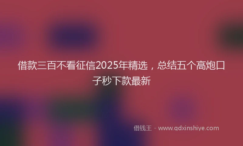 借款三百不看征信2025年精选,总结五个高炮口子秒下款最新