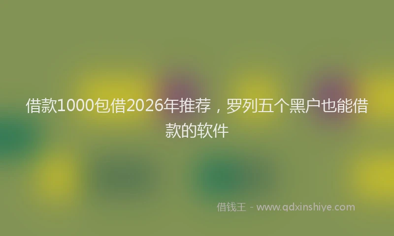 借款1000包借2026年推荐,罗列五个黑户也能借款的软件