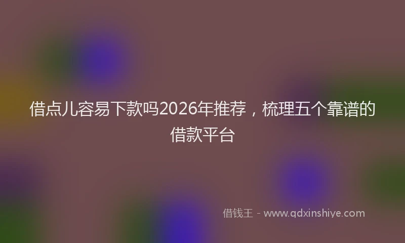 借点儿容易下款吗2026年推荐，梳理五个靠谱的借款平台
