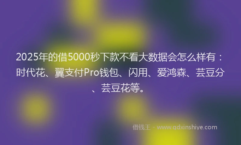 2025年的借5000秒下款不看大数据会怎么样有：时代花、翼支付Pro钱包、闪用、爱鸿森、芸豆分、芸豆花等。