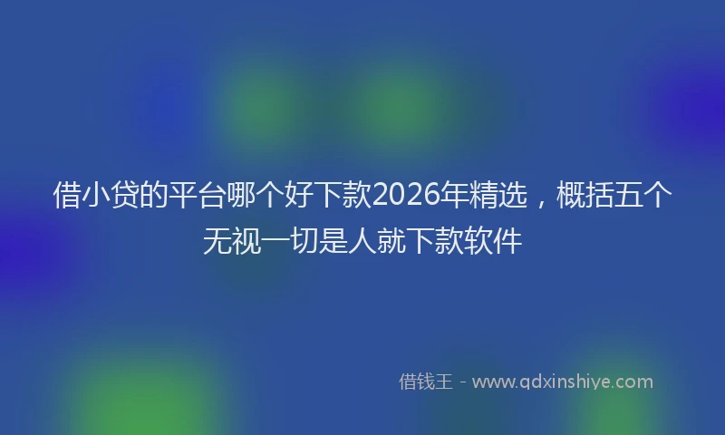 借小贷的平台哪个好下款2026年精选，概括五个无视一切是人就下款软件