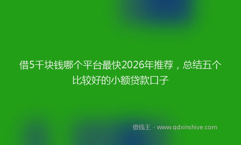 借5千块钱哪个平台最快2026年推荐，总结五个比较好的小额贷款口子