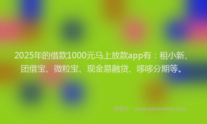 2025年的借款1000元马上放款app有:租小新、团借宝、微粒宝、现金易融贷、哆哆分期等。