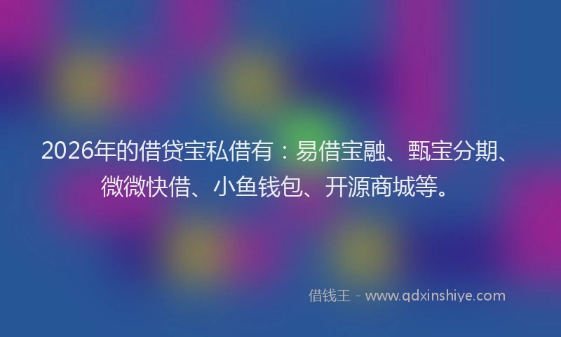 2026年的借贷宝私借有：易借宝融、甄宝分期、微微快借、小鱼钱包、开源商城等。