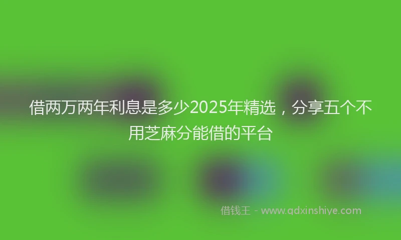 借两万两年利息是多少2025年精选，分享五个不用芝麻分能借的平台