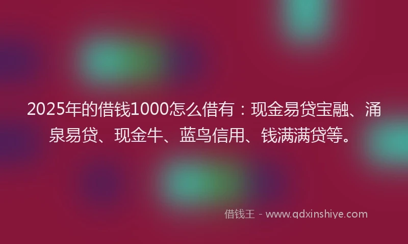 2025年的借钱1000怎么借有：现金易贷宝融、涌泉易贷、现金牛、蓝鸟信用、钱满满贷等。