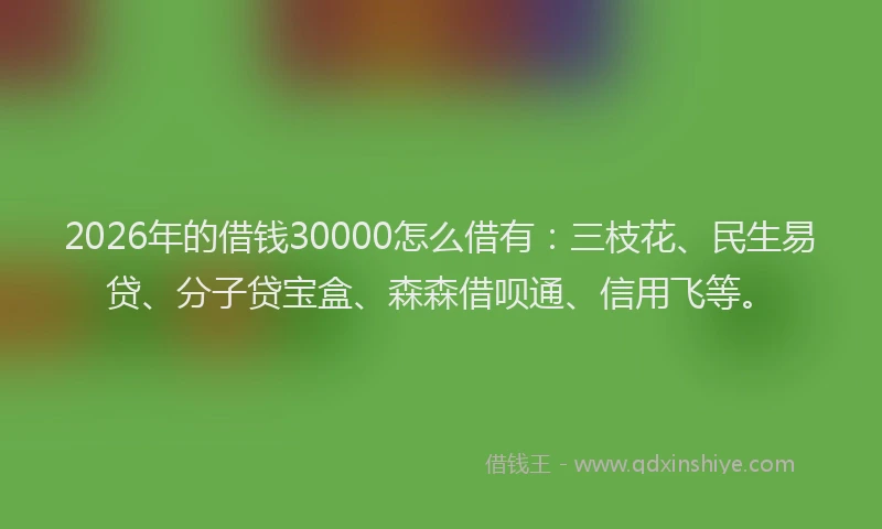2026年的借钱30000怎么借有：三枝花、民生易贷、分子贷宝盒、森森借呗通、信用飞等。