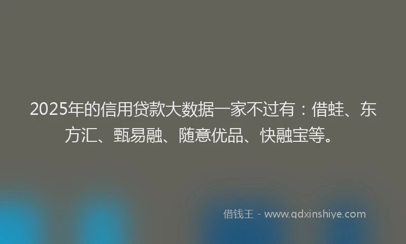 2025年的信用贷款大数据一家不过有：借蛙、东方汇、甄易融、随意优品、快融宝等。