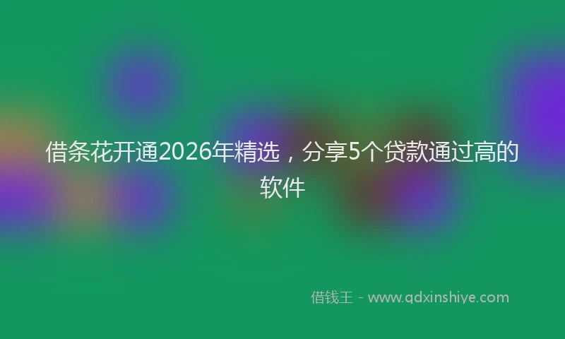 借条花开通2026年精选，分享5个贷款通过高的软件