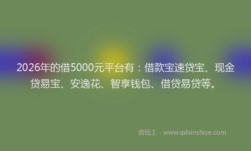 2026年的借5000元平台有：借款宝速贷宝、现金贷易宝、安逸花、智享钱包、借贷易贷等。